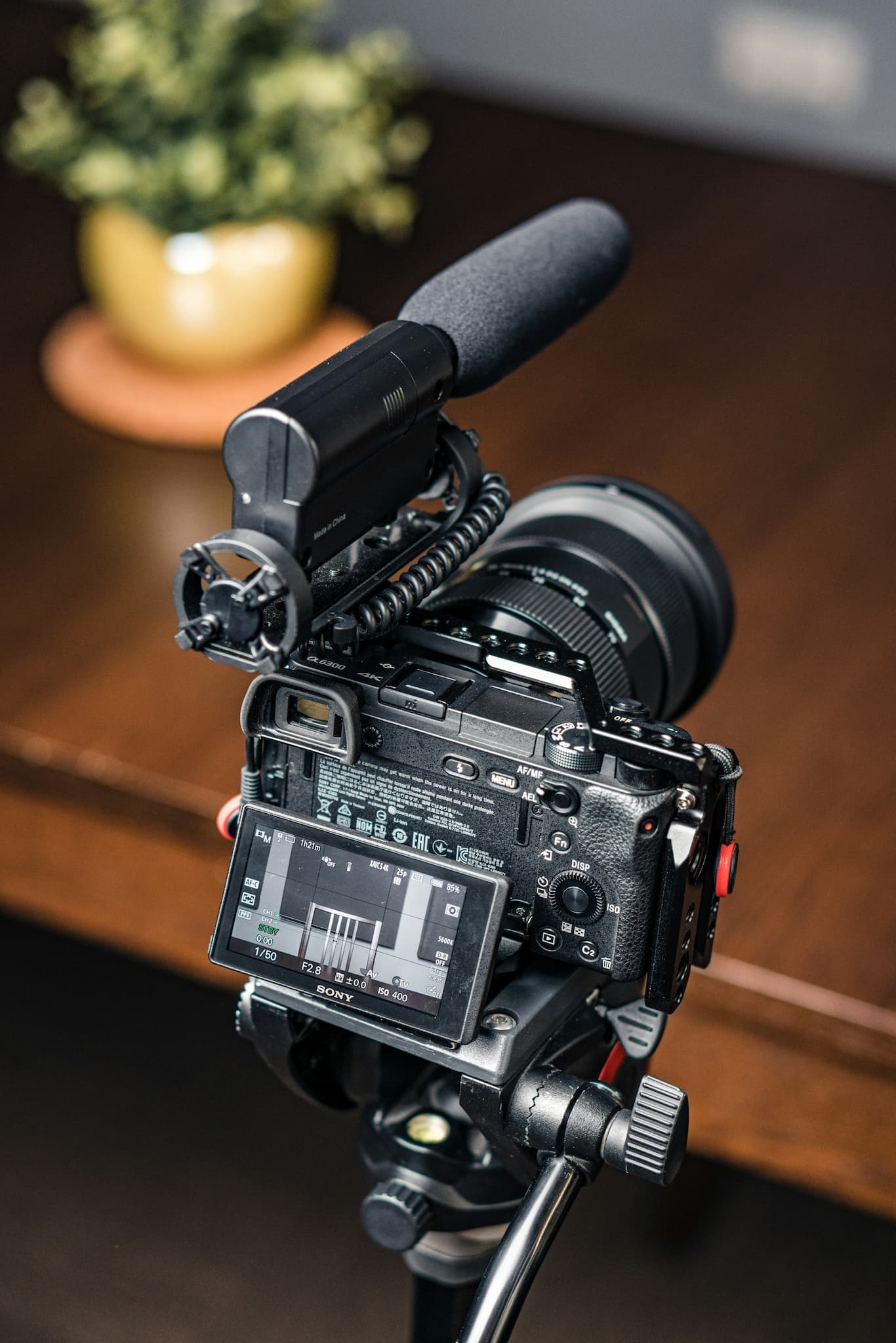 Content Creation & Creative Execution